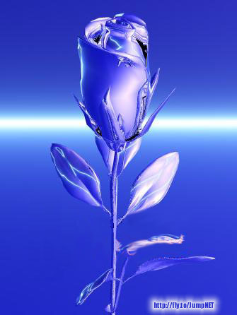 silver rose